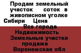 Продам земельный участок (40 соток) в живописном уголке Сибири. › Цена ­ 1 000 000 - Все города Недвижимость » Земельные участки продажа   . Воронежская обл.